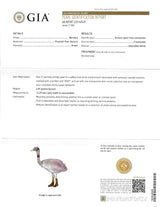 Black Starr & Frost Edwardian Natural Pearl Diamond Enamel 14 Karat Gold Ostrich Bird Brooch GIA Wilson's Estate Jewelry