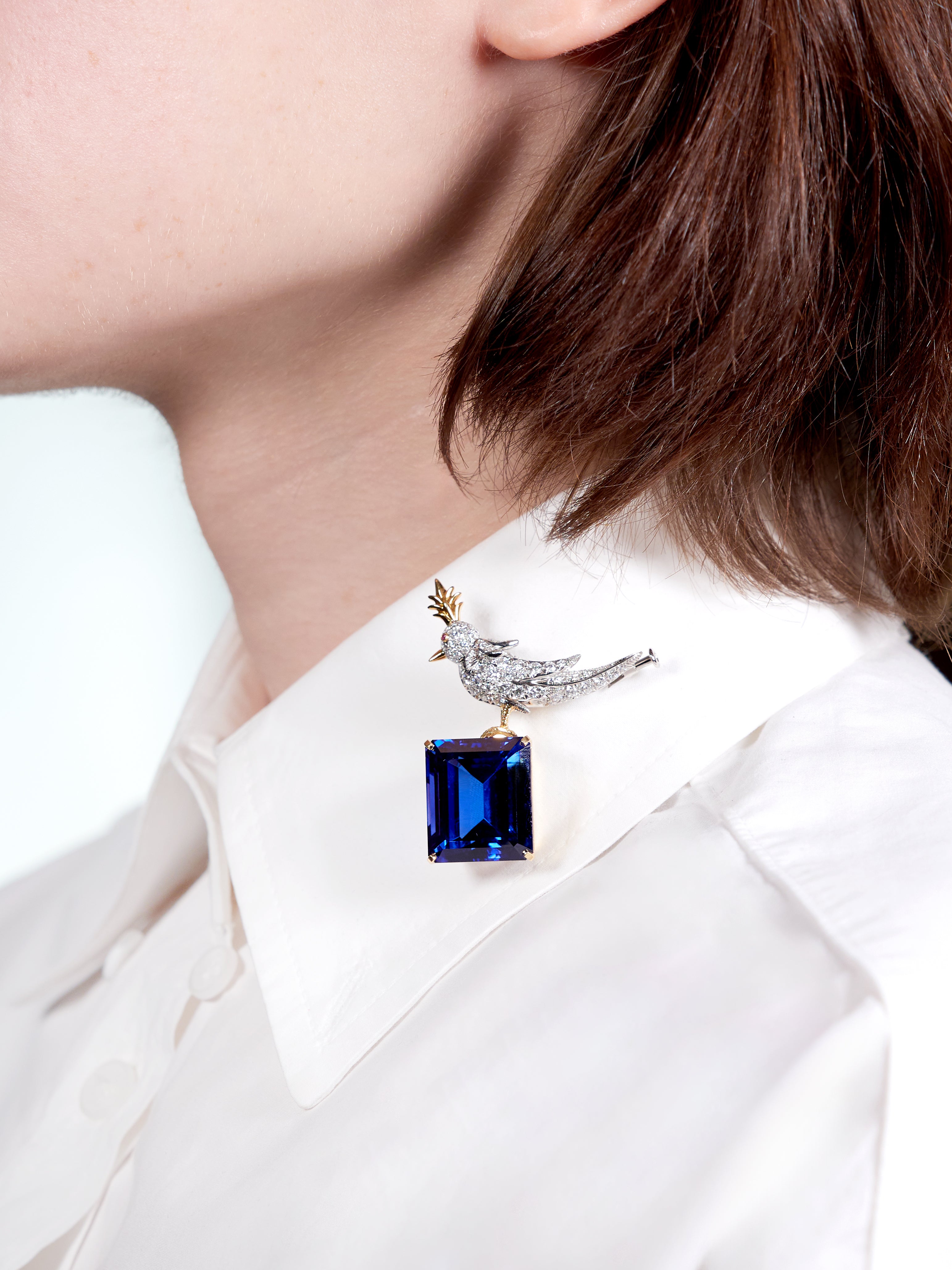 Schlumberger Tiffany & Co. Tanzanite Diamond Platinum 18 Karat Gold Bird On A Rock Unisex Brooch