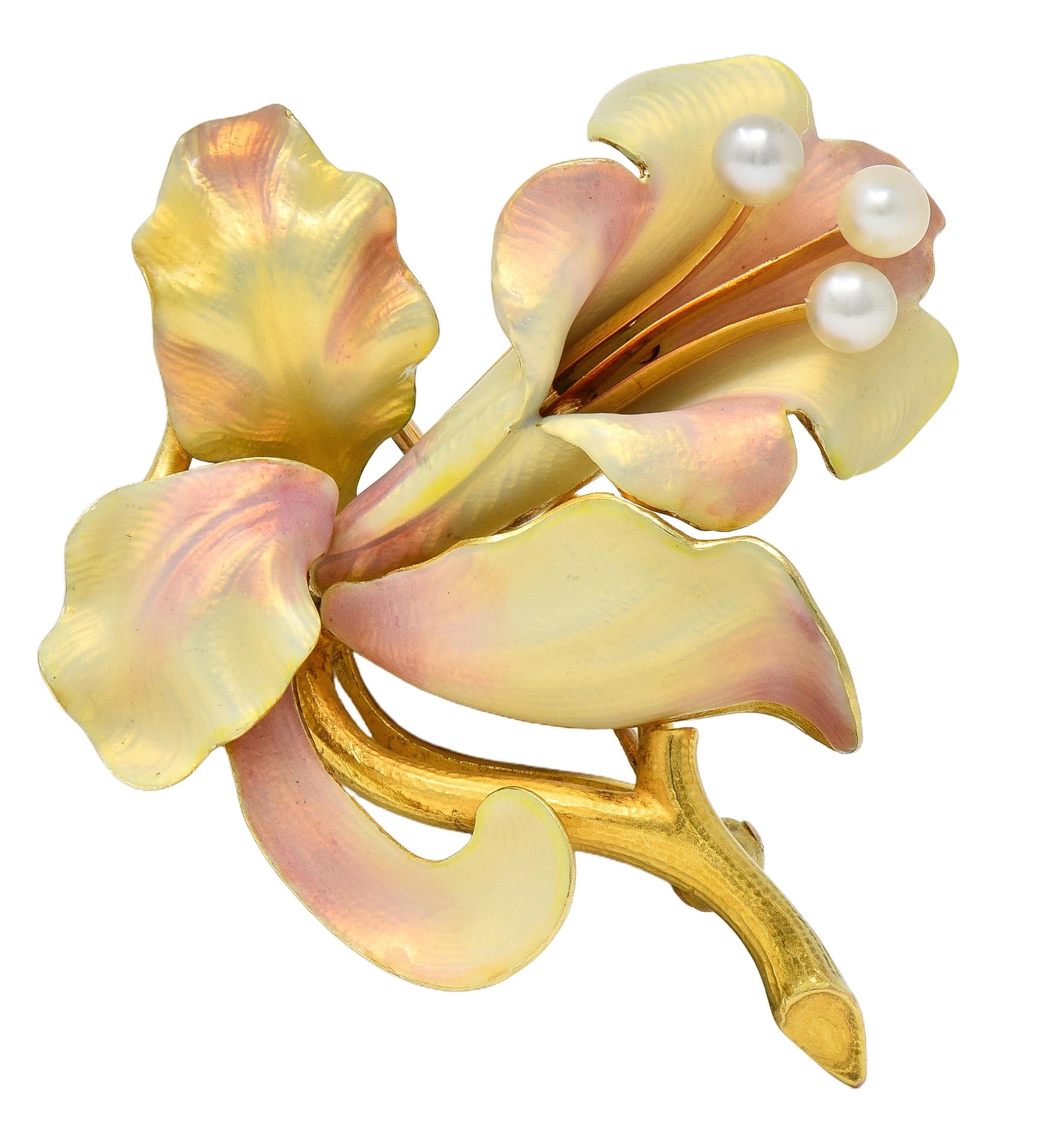 Art Nouveau Henry Blank & Co. Enamel 14K Yellow Gold Antique Bellflower Brooch