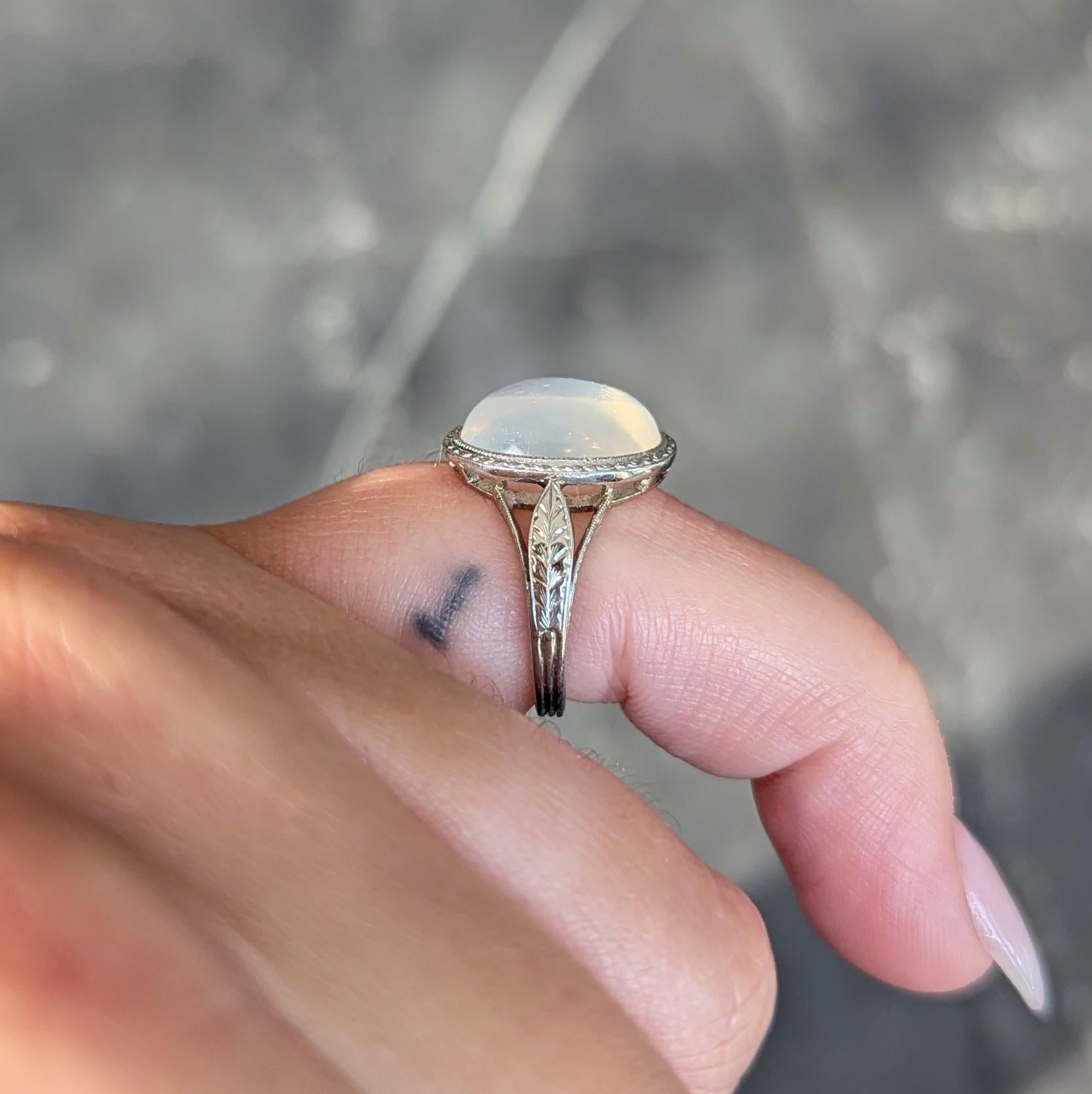 Art Deco Moonstone 18 Karat White Gold Vintage Wheat Dinner Ring