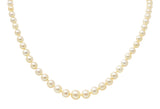 1950's Mid-Century 1.08 CTW Diamond Pearl Platinum Strand NecklaceNecklace - Wilson's Estate Jewelry