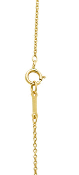 Elsa Peretti Tiffany & Co. Tiger Iron 18 Karat Gold Touchstone Pendant NecklaceNecklace - Wilson's Estate Jewelry