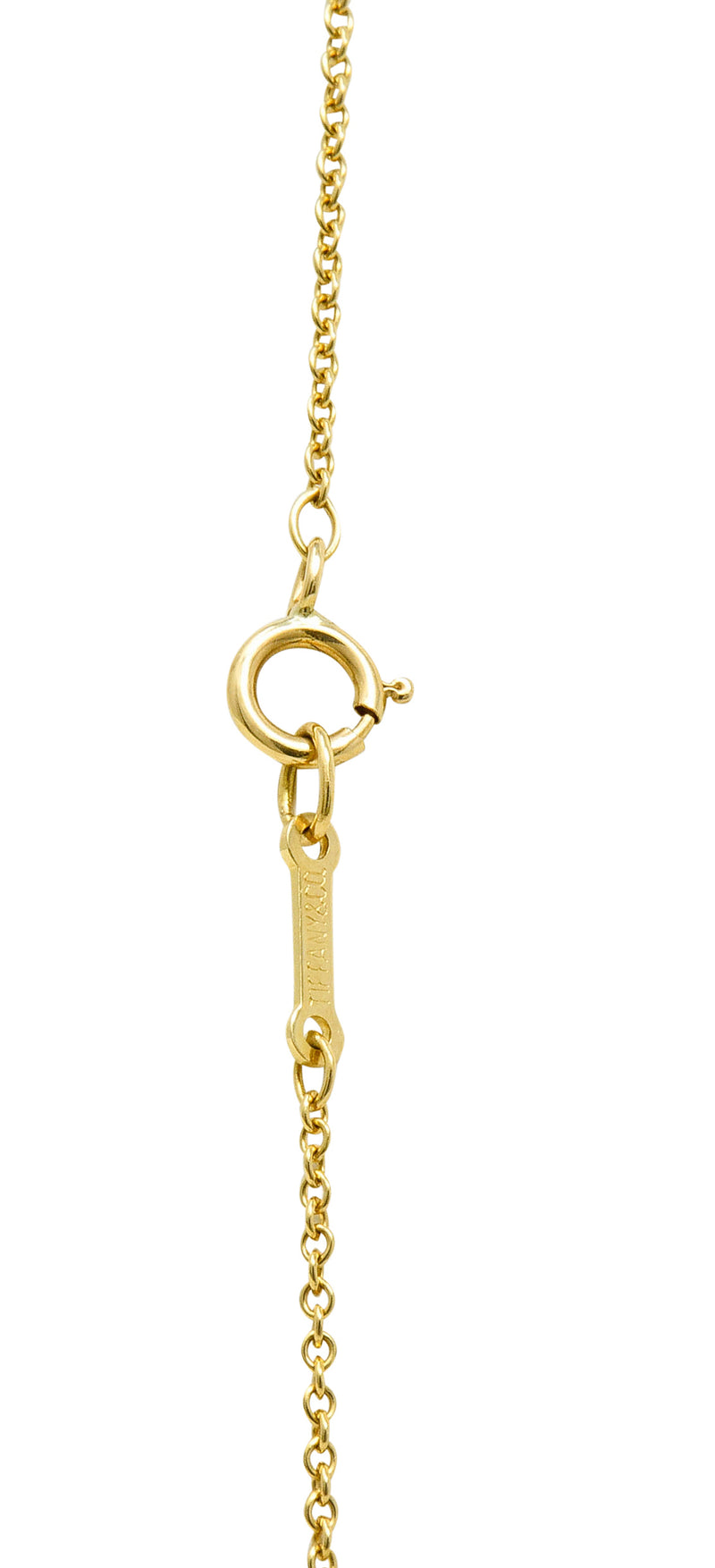 Elsa Peretti Tiffany & Co. Tiger Iron 18 Karat Gold Touchstone Pendant ...