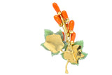 Gumps Vintage Coral Jade 14 Karat Yellow Gold Floral Brooch - Wilson's Estate Jewelry