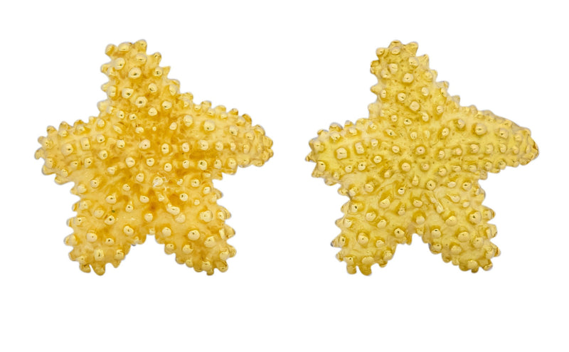 Tiffany & Co. 18 Karat Yellow Gold Starfish Stud Earrings - Wilson's Estate Jewelry